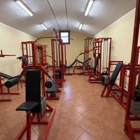 INTERA PALESTRA COME NUOVA OLD SCHOOL