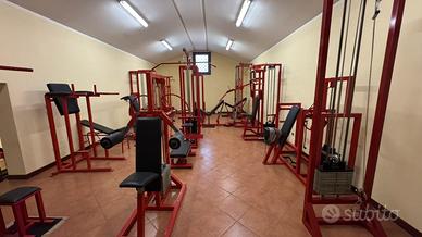 INTERA PALESTRA COME NUOVA OLD SCHOOL