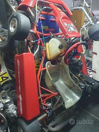 Go Kart con motore Rotax 125cc