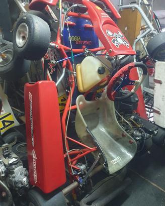 Go Kart con motore Rotax 125cc