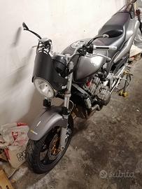 Honda Hornet