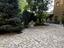 Immagine 9