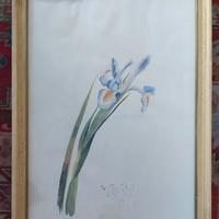 Dipinto ad acquarello di Valentino Ghiglia