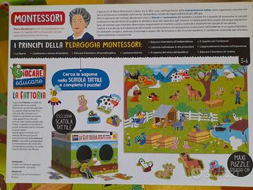 Gioco Metodo Montessori 