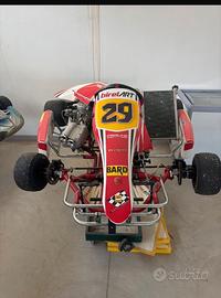 Telaio kart Birel