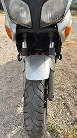 Cbf s 600 del 2004