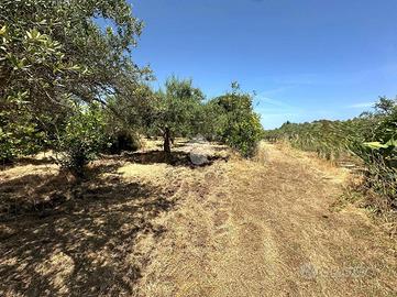 TER. AGRICOLO A CASTELDACCIA
