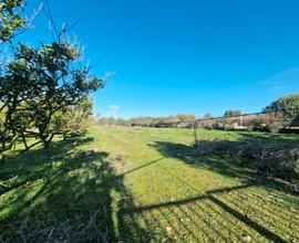 Terreno agricolo di 16000 mq