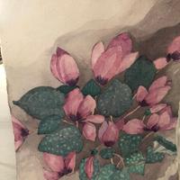 Quadri Acquerelli senza cornice FIORI