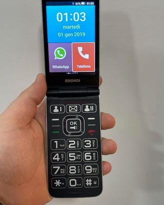 Brondi Amico Flip 4G silver 4 GB - 4720