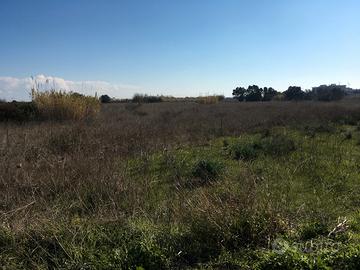 Permuta o vendita terreno "cuccuru macciorri"