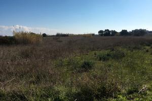 Permuta o vendita terreno "cuccuru macciorri"