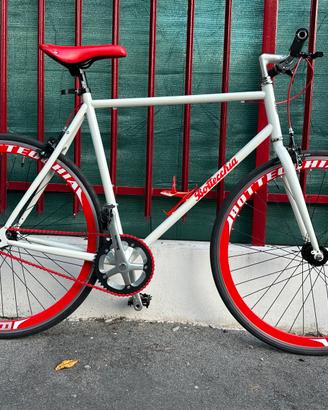 Bici Scatto Fisso Single Speed Bottecchia