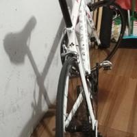 bici da corsa colnago