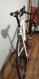 bici da corsa colnago