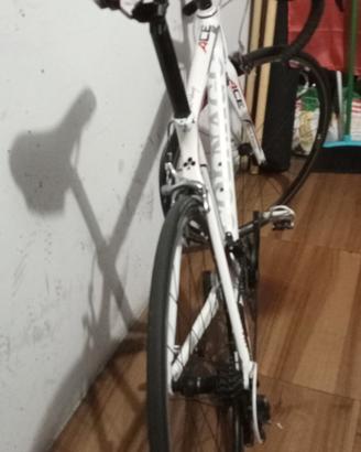 bici da corsa colnago