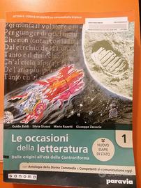 Le occasioni della letteratura - vol.1