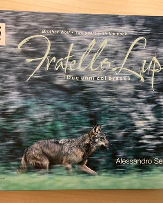 Fratello Lupo: due anni con il branco