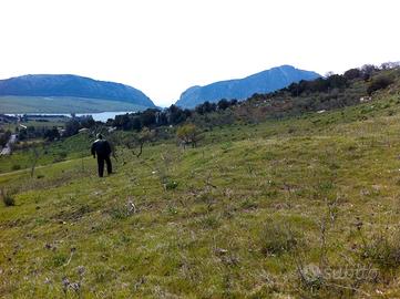 Terreno agricolo