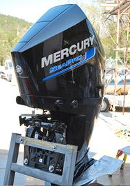Mercury 225 Seapro anno 2020