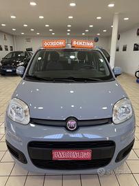 Fiat Panda 1.0 hybrid 40 mila km 2020