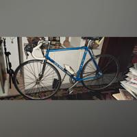 Bicicletta Olmo