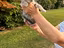 Immagine 5