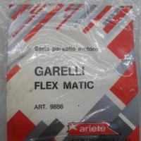 Garelli Flex paraolio