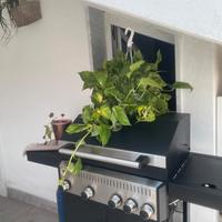 Barbecue ombrellone completo più due applic 