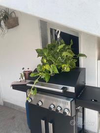 Barbecue ombrellone completo più due applic 