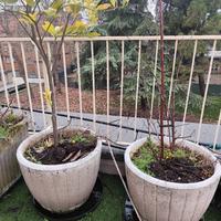 11 vasi da terrazzo/ giardino