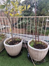 11 vasi da terrazzo/ giardino