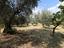 Immagine 26