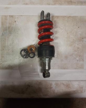 sospensione ammortizzatore hornet