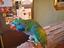 Immagine 1