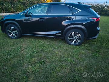 Lexus NX 300h luxury GPL  mark levinson Adas liv3
