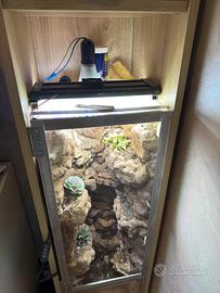 Terrario paludario con sistema  acqua a cascata