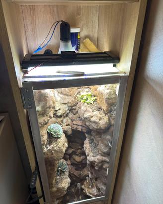 Terrario paludario con sistema  acqua a cascata