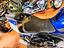 Immagine 20