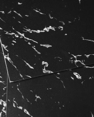 Piastrelle Pavimenti in Vinile Autoadesive 50 pz