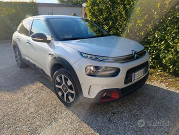 C4 cactus automatica