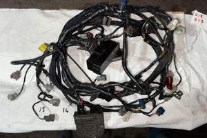 Cablaggio per prototipi honda cbr rr 1000 per