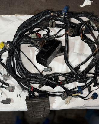 Cablaggio per prototipi honda cbr rr 1000 per