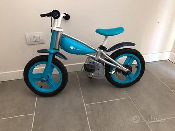 Bicicletta evolutiva