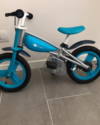 Bicicletta evolutiva