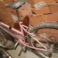 Bicicletta rotta