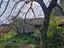 Immagine 26