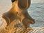 Immagine 6