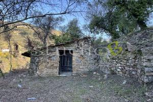 Rustico-Casale a Vallebona