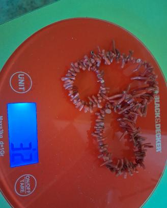 Parure vintage corallo rosso e cammeo Argento  800